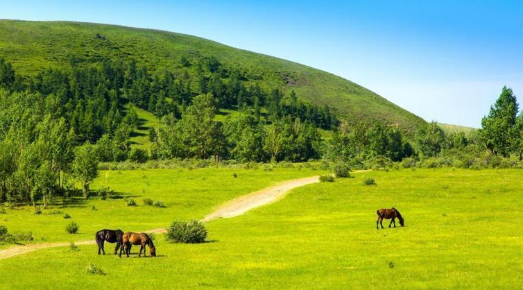 北京出发丰宁坝上草原自驾游攻略,北京出发丰宁坝上草原两日游