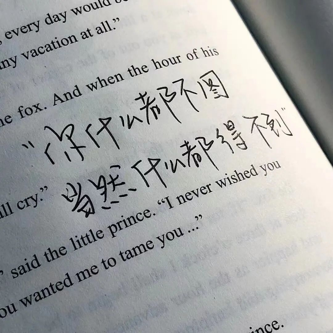 这个世界上有太多的无能为力文案,每个人都是一座孤岛文案