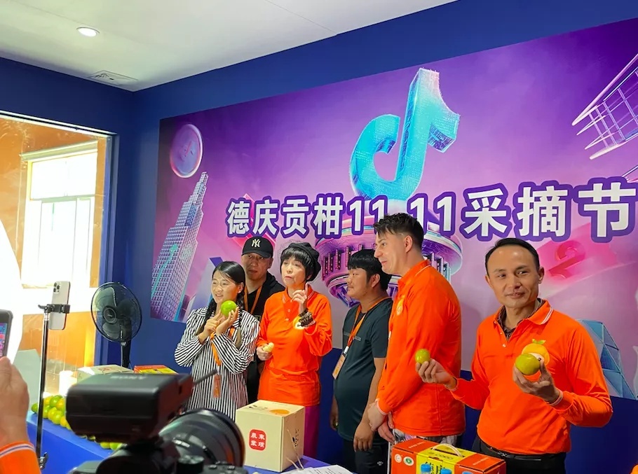 总投资超600亿肇庆11个重点项目,肇庆最新投资5亿元