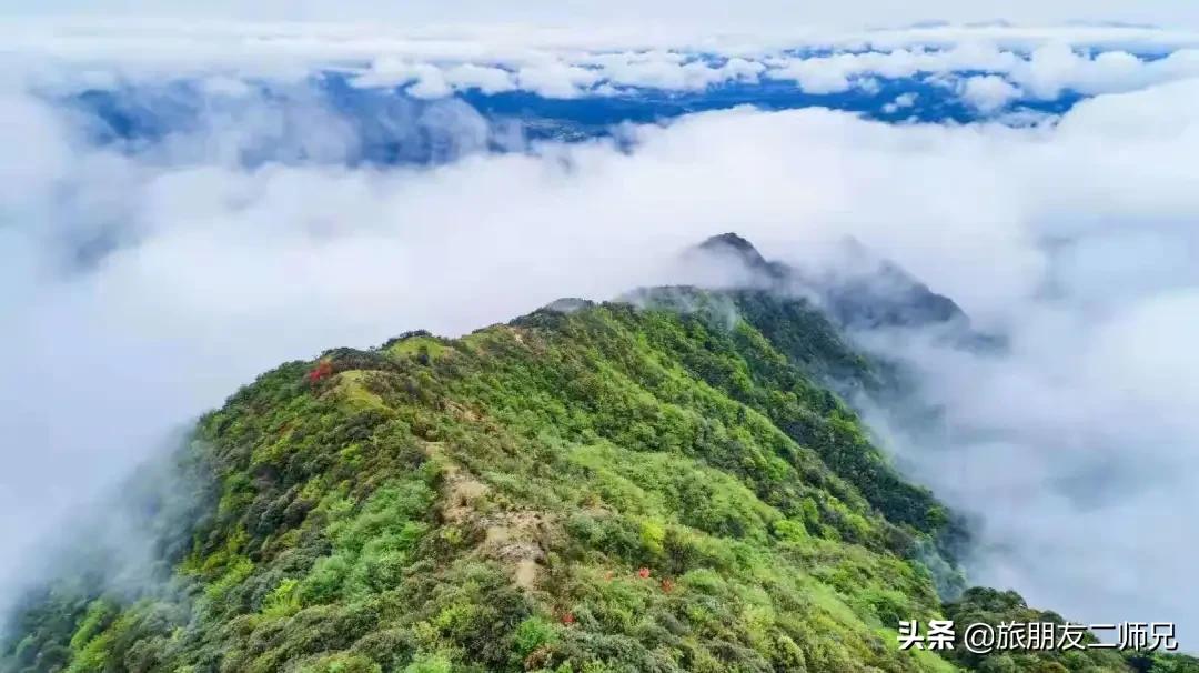 清远金子山旅游攻略看雾凇,广东金子山雪景旅游攻略
