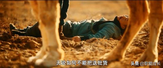 骆驼祥子电影观后感,观新疆纪录片心得体会300字