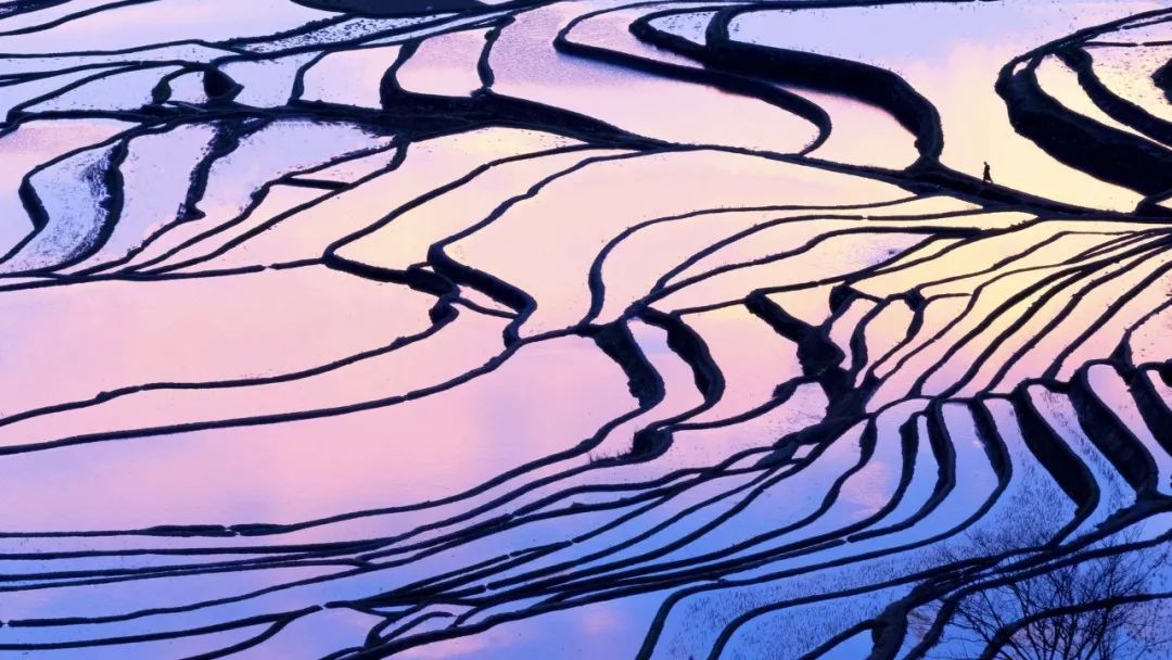 憋尿后膀胱胀痛的缓解方法,憋尿憋得膀胱胀痛怎么办