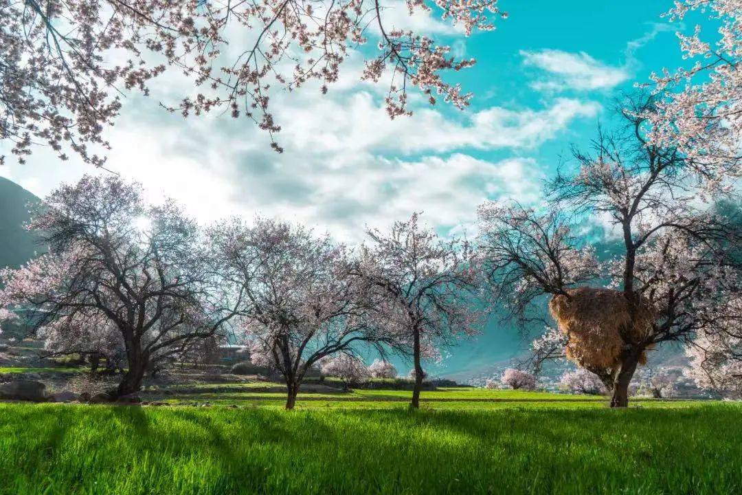 雪山下的梦幻足球场,西藏雪山下的球场
