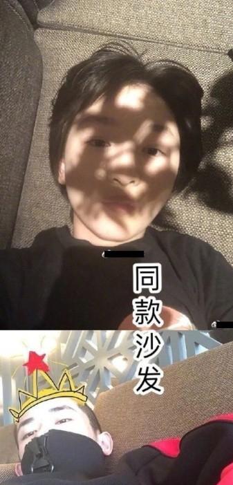 三金影后周冬雨明星评价,三金影后霸凌