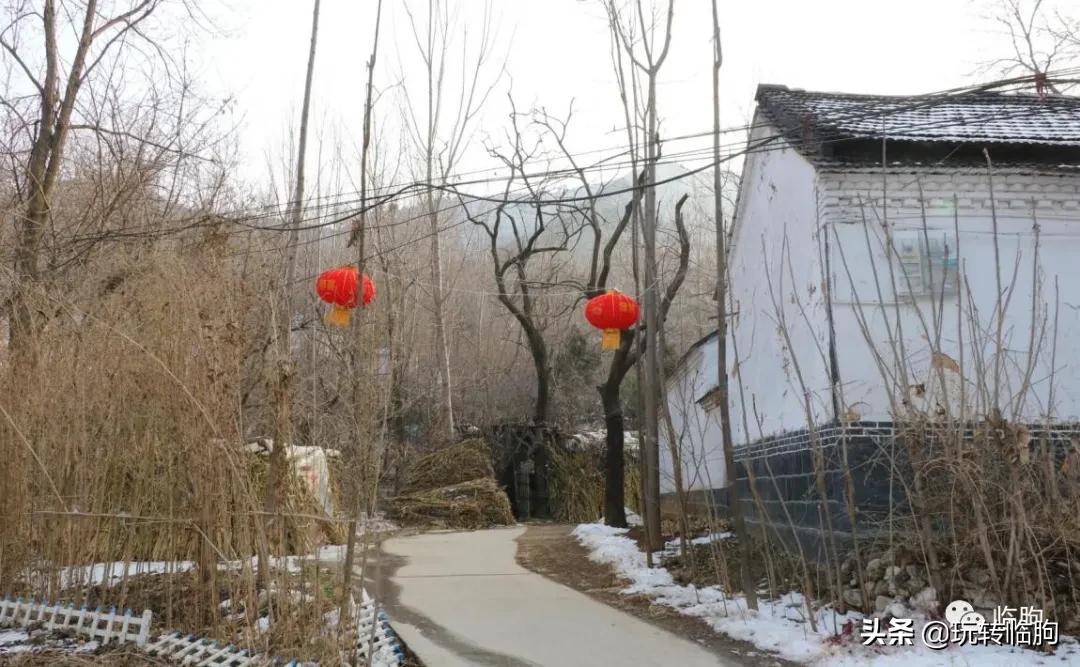 千万年的记忆,辛苦的记忆