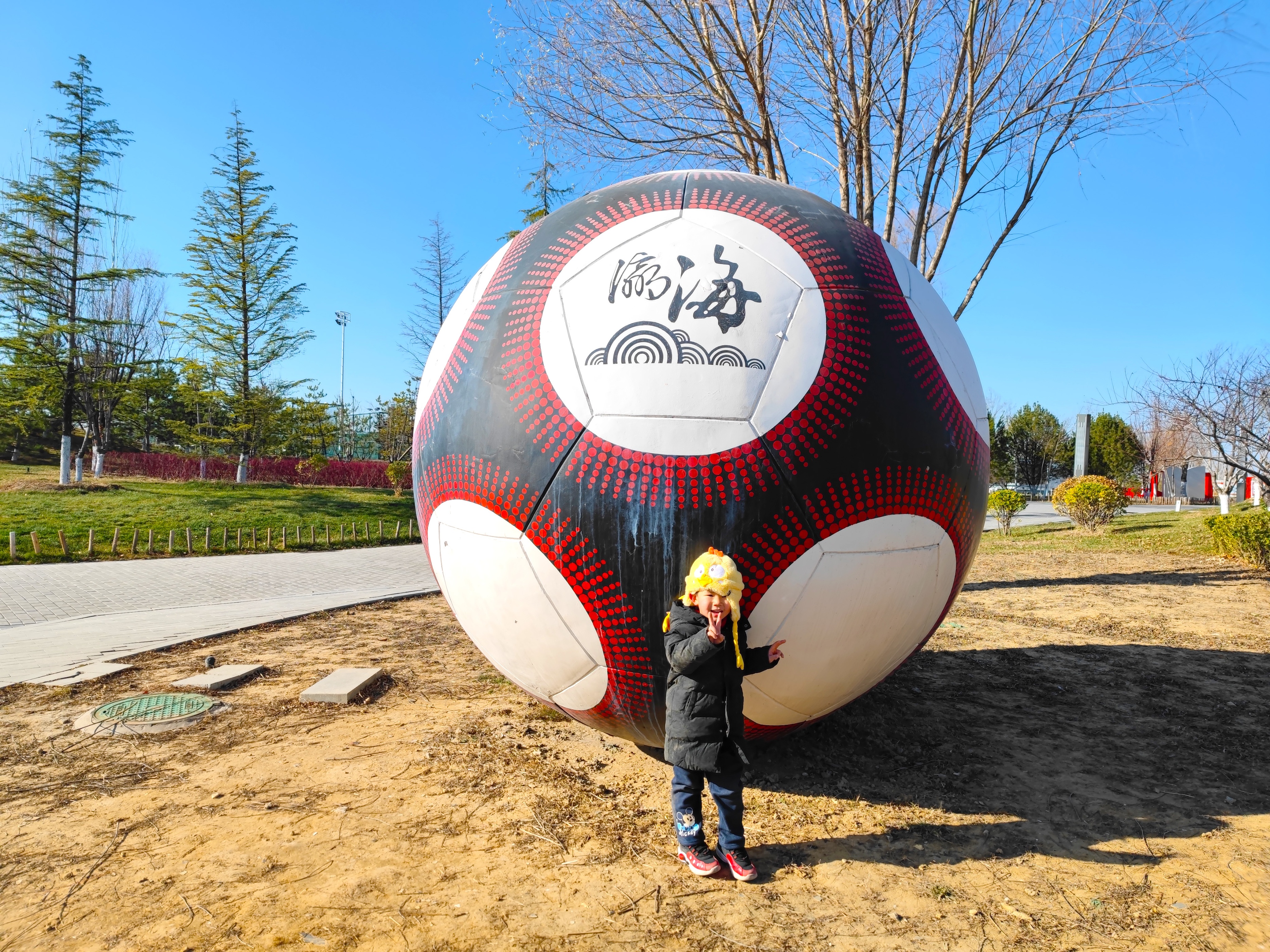 北京瀛海好玩的地方,北京大兴瀛海足球主题公园