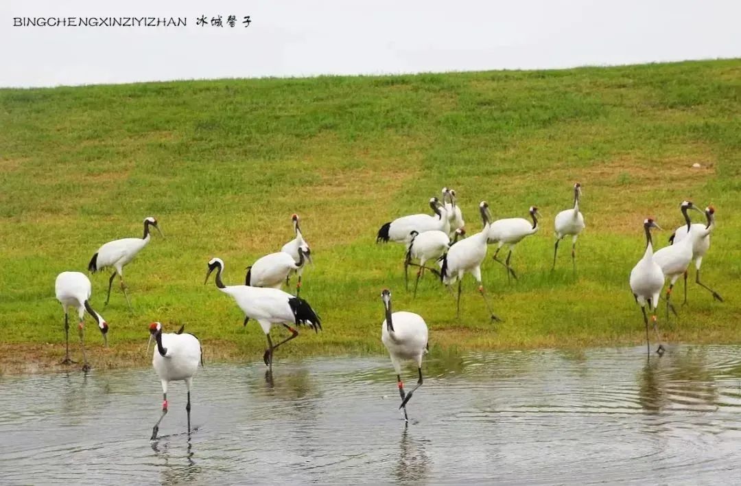 醉美G331黑龙江段自驾春游线路,g331东北大环线自驾游