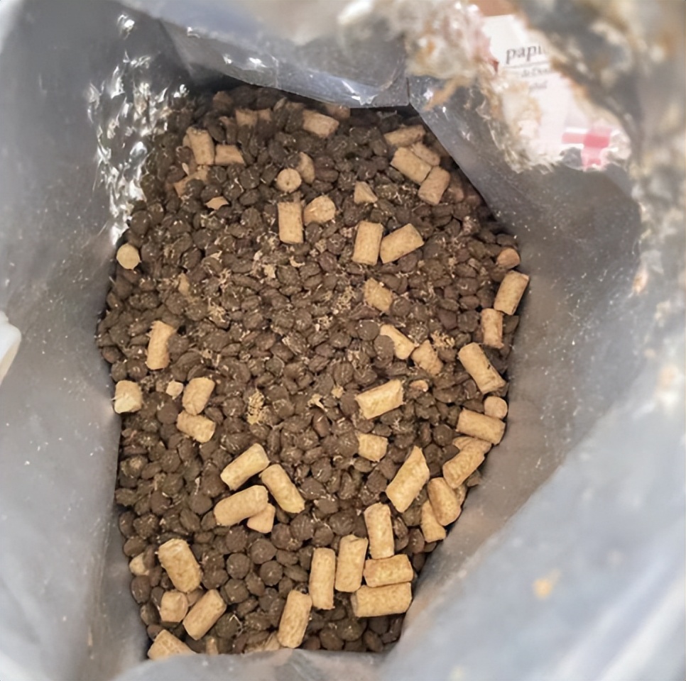 猫冻干粮评测,猫冻干测评推荐图文