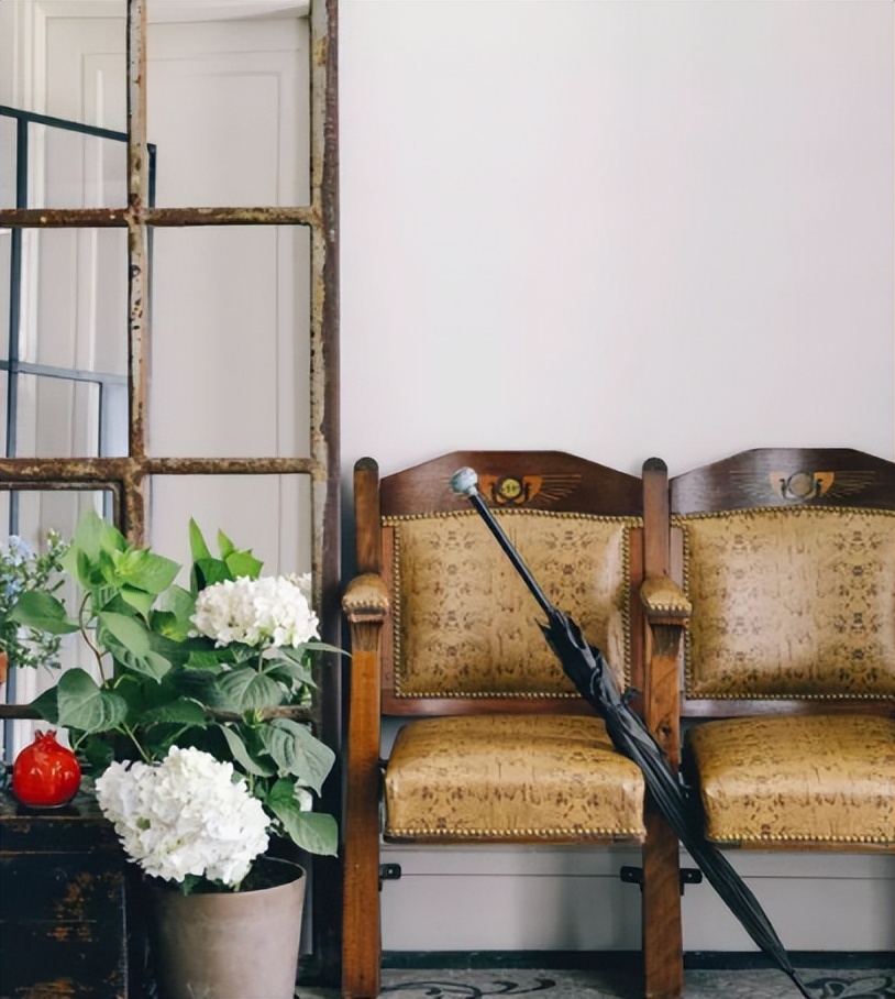 导演张静初和蒋雯丽,王家卫张静初蒋雯丽事件