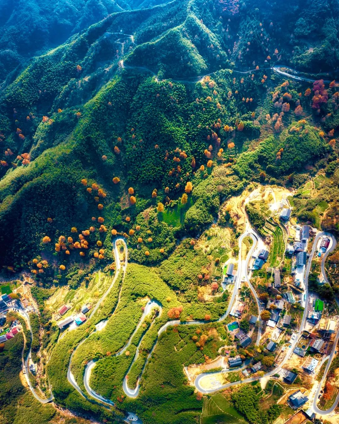 安吉旅游度假,安吉好玩还是千岛湖好玩