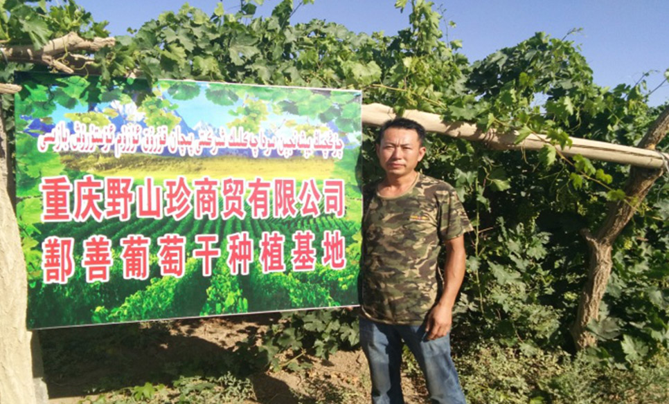 重庆野山珍商贸有限公司,重庆野山珍商贸