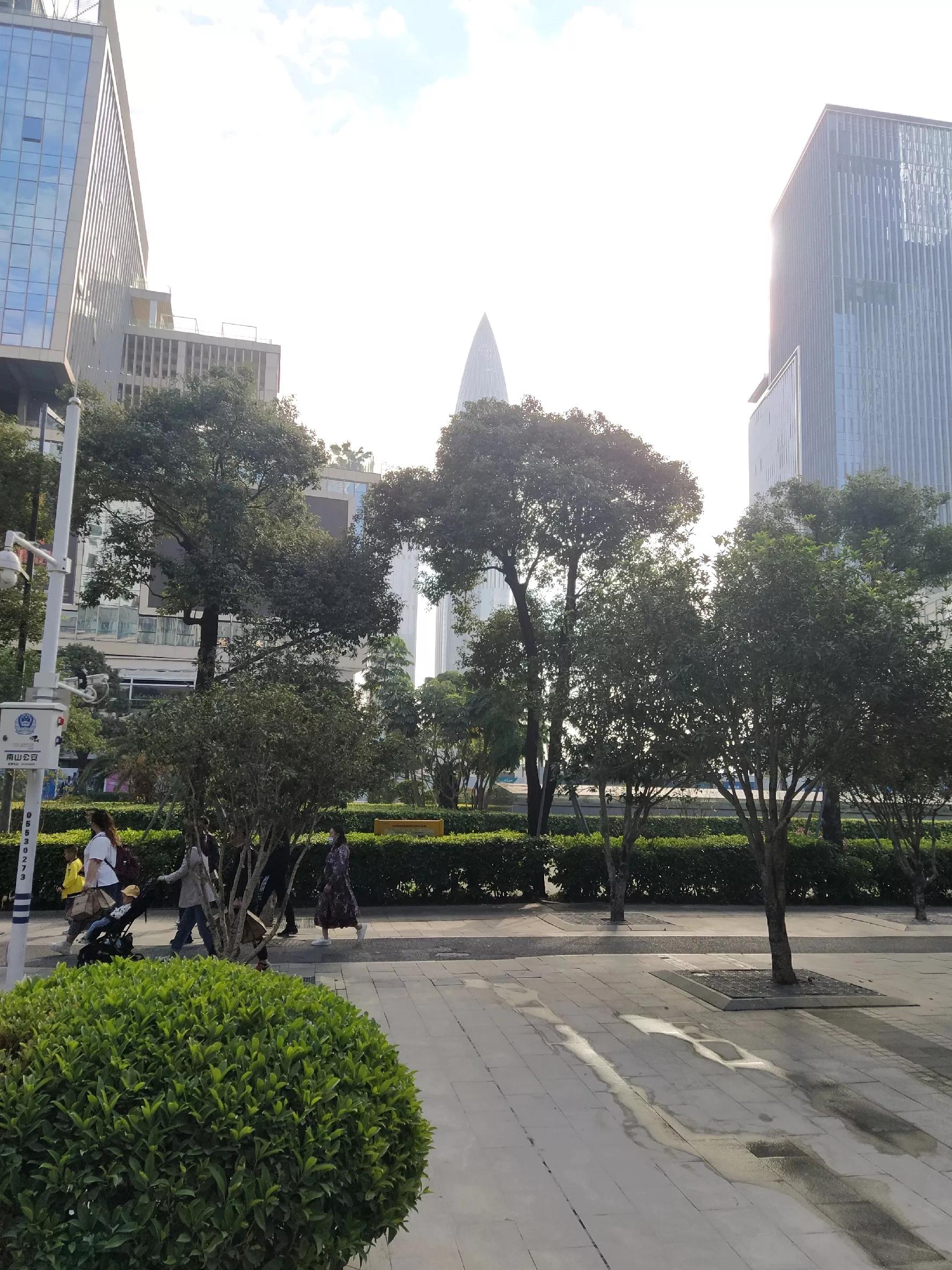 人在深圳在线阅读,人在深圳打工纪录片