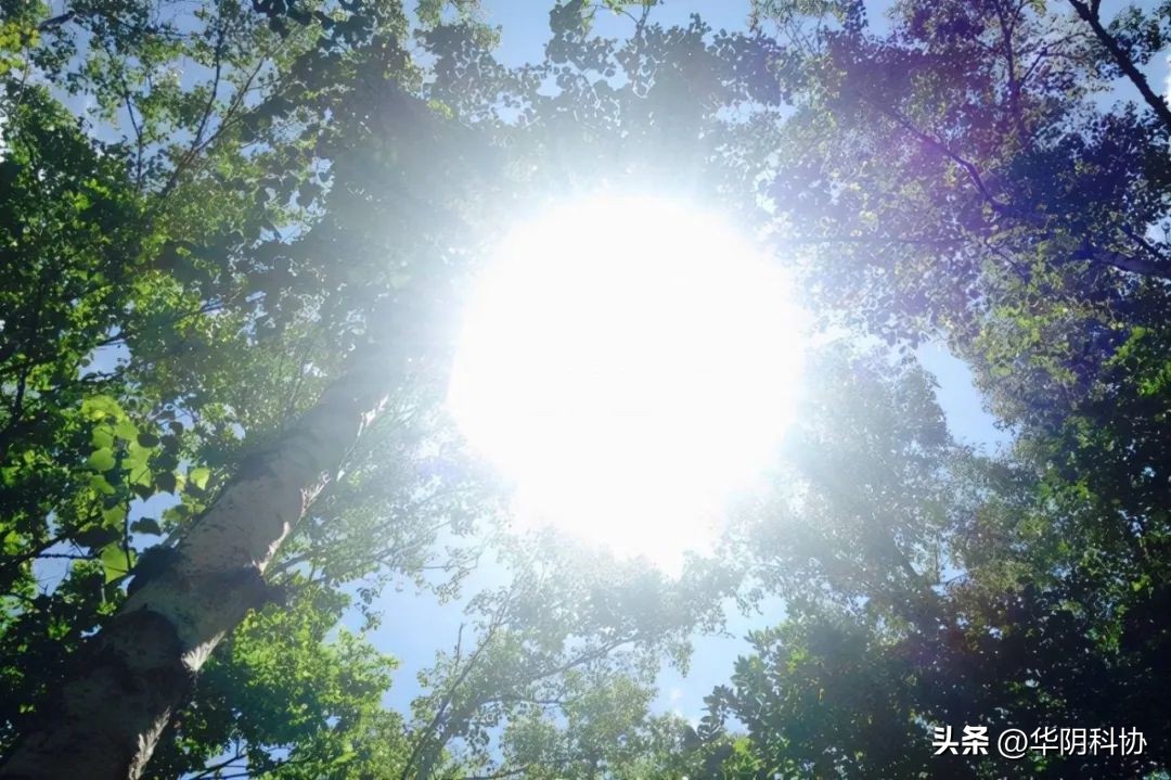 很薄的防晒服有用吗,防晒服怎么选才能真正防晒