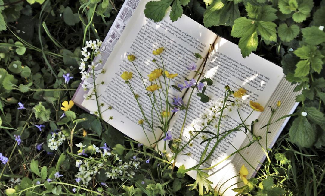 从不敢说话到勇敢表达,当众演讲有困难该怎么做