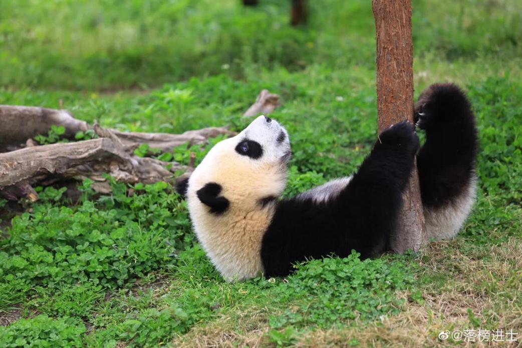 疫情结束后，每个秦皇岛人都想完成的50件小事！