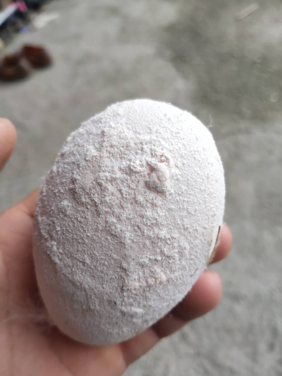 鸭子不产蛋怎么治疗,鸭子产畸形蛋是怎么回事