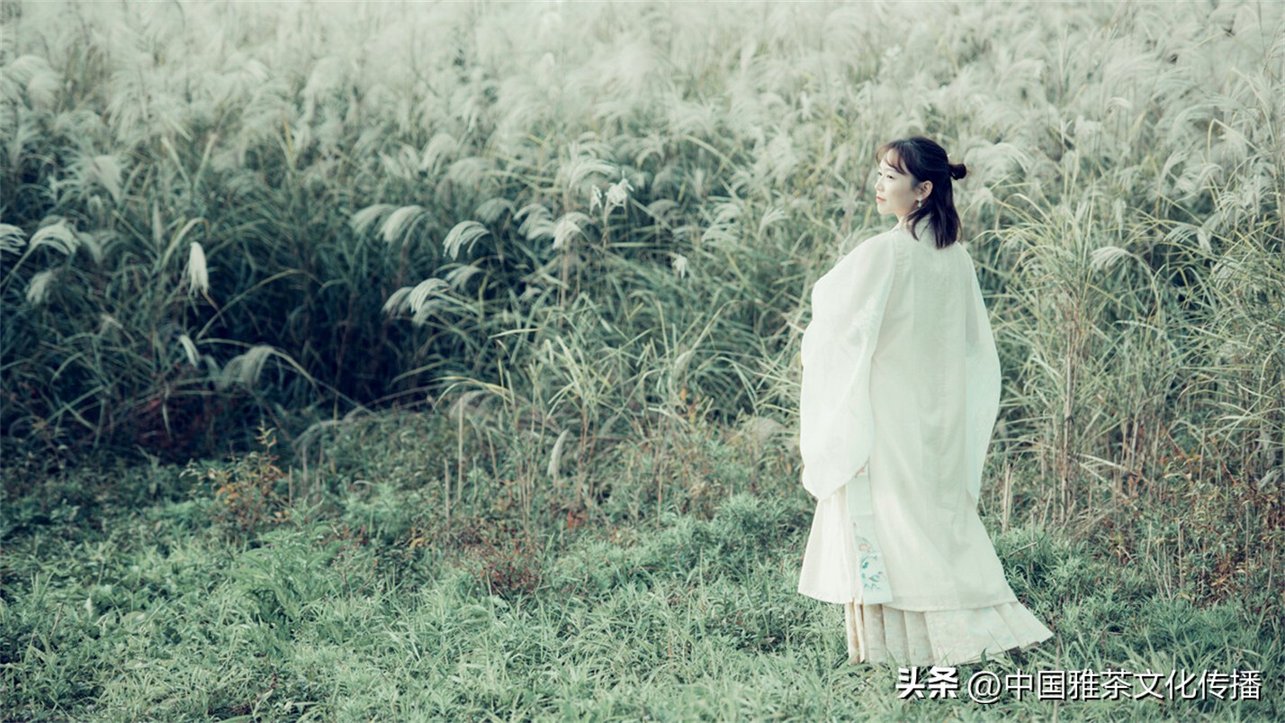 几缕茶香,一壶清茶几缕阳光几分优雅