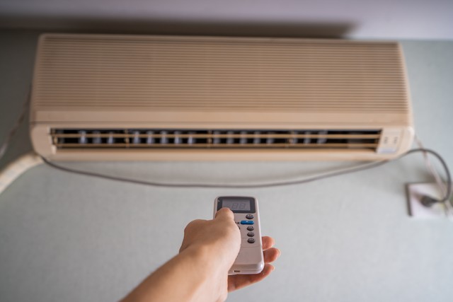 家备生姜,小病不慌,什么意思呢?一起来听听呗