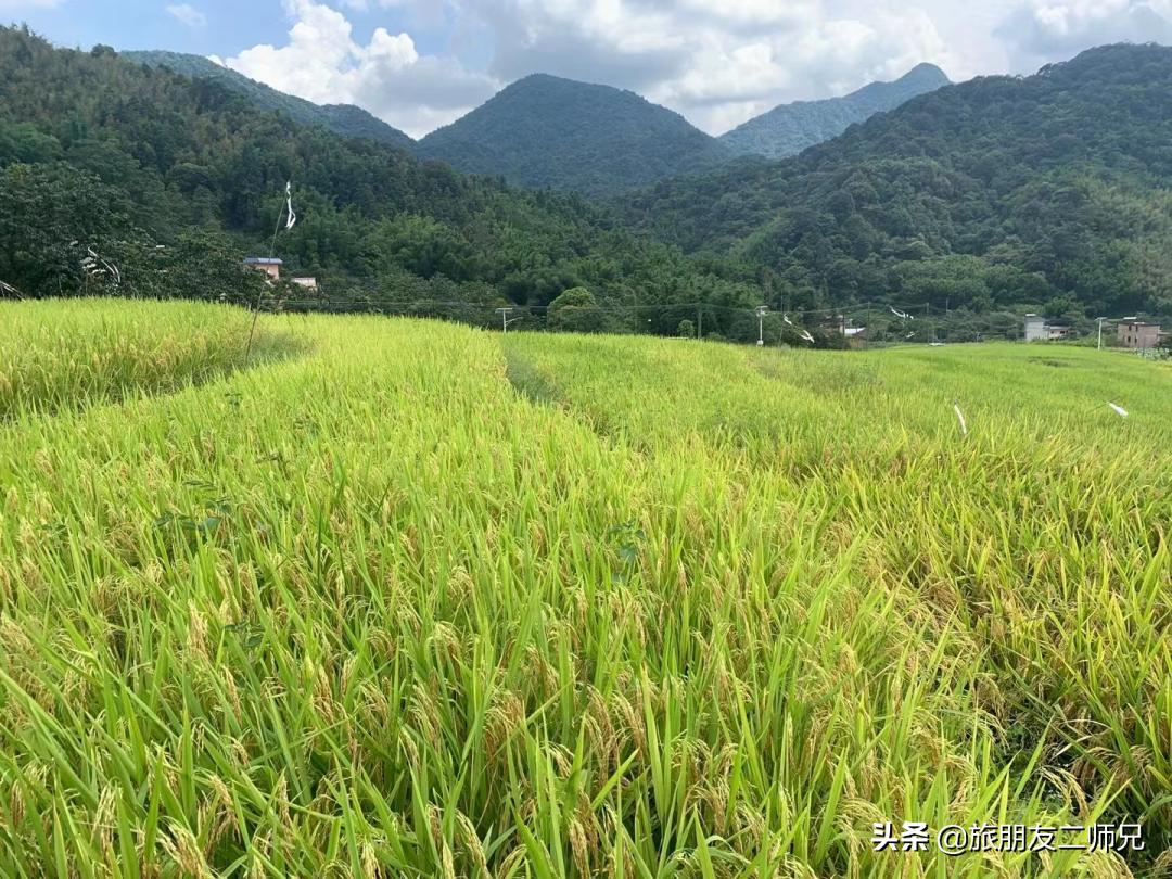从化吕田一日游必去景点,从化溪头村自驾徒步攻略