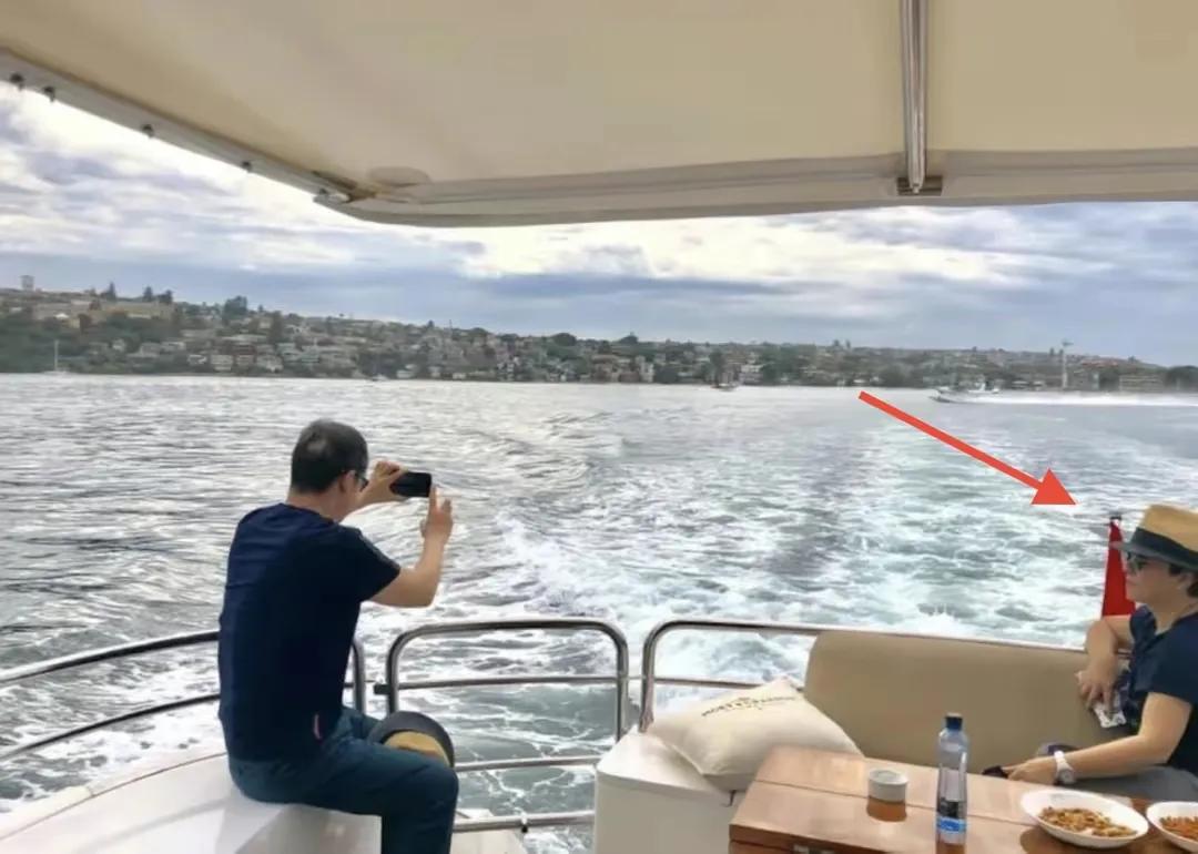 张国立的游艇,张国立品酒视频