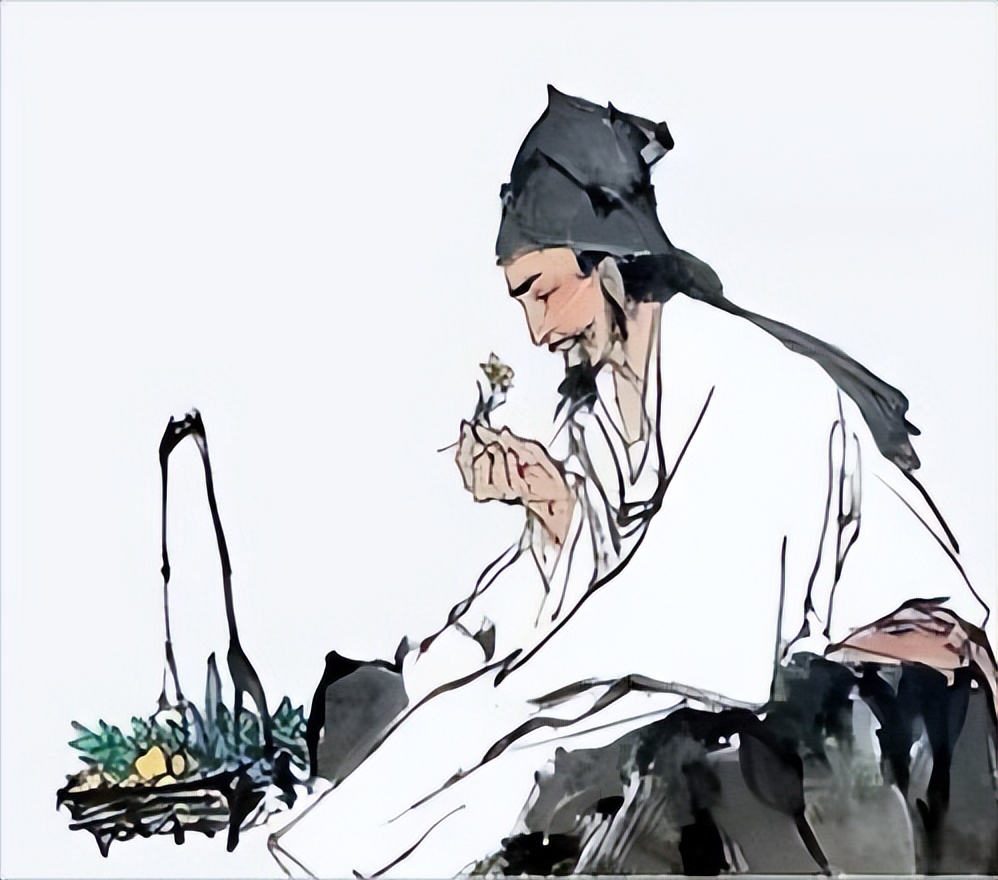 关于绿茶的16个冷知识你了解吗,绿茶的十大神奇功效你知道吗