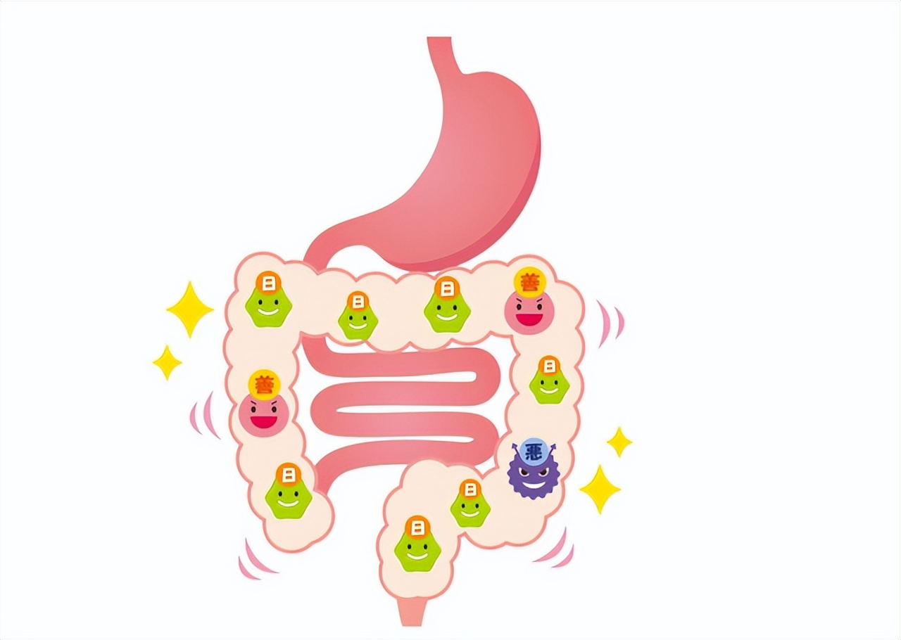 宿便是怎样排便的,体内长期堆积的宿便如何排出