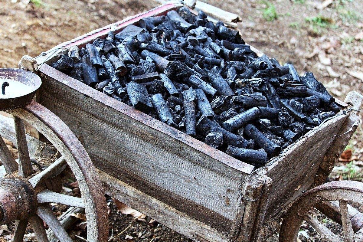 农村造木炭前景如何,农村最赚钱的行业烧木炭