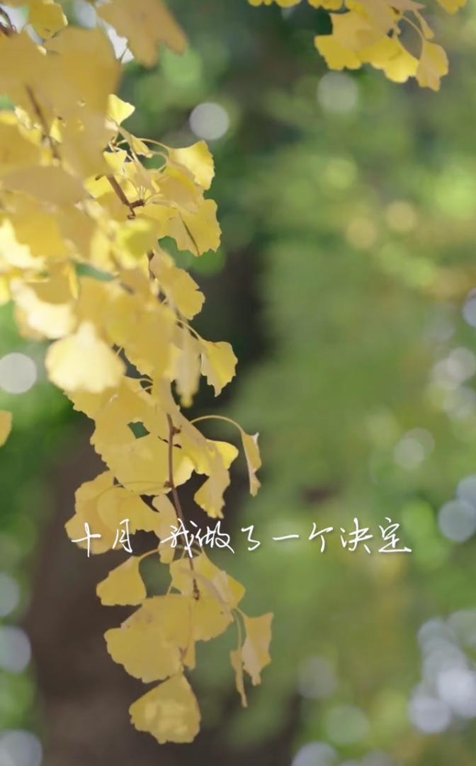 卖豪宅还债？李亚鹏全家搬离市中心豪宅，到郊外房子居住全力赚钱