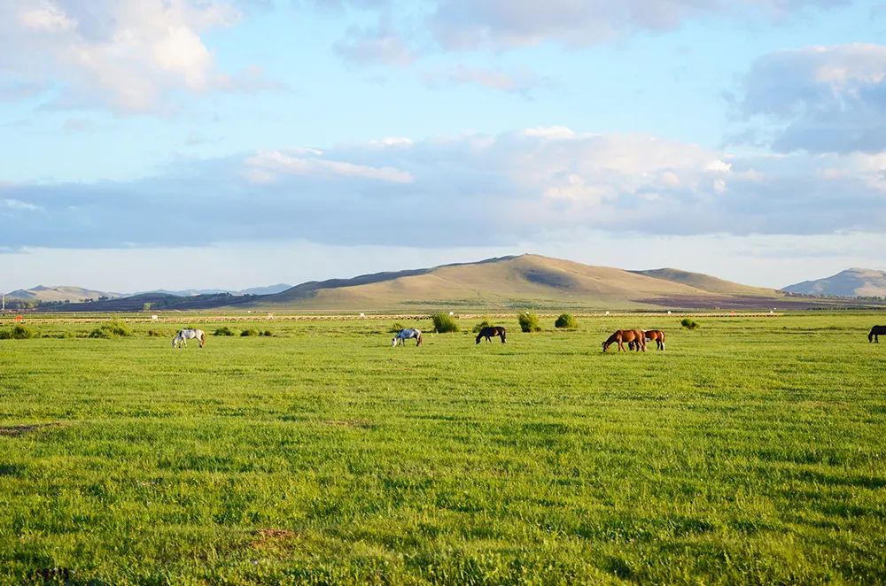 今年最大超级月亮今夜登场,河北邯郸超级月亮