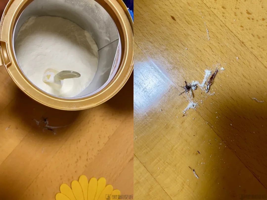 谁在说谎儿童版,爱他奶粉有虫