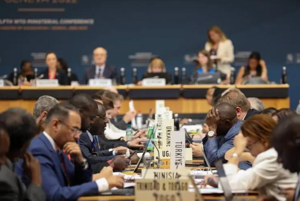 国际环境对国际贸易的影响,国际贸易与环境保护法律问题研究