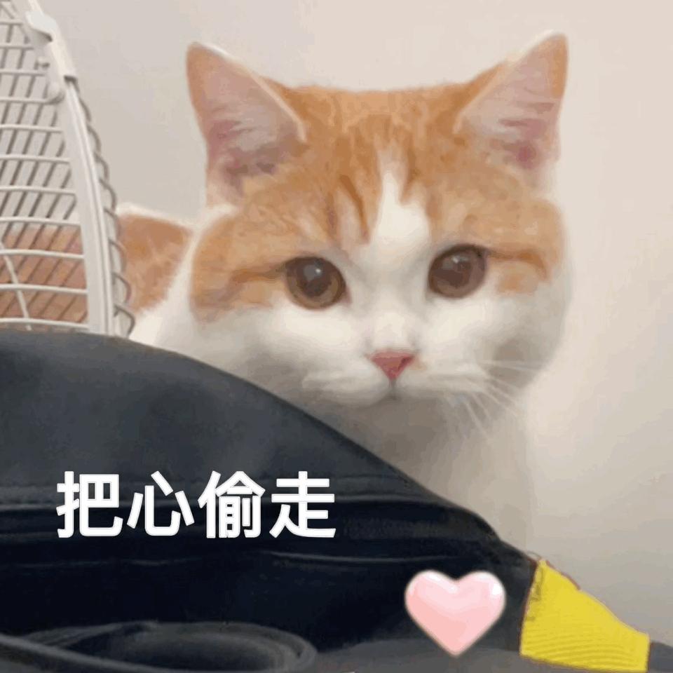 日本留学语言申请年龄,美国语言学校可以申请留学签证吗