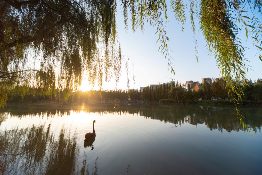 美美美，在阳光灿烂的成电遇见你~