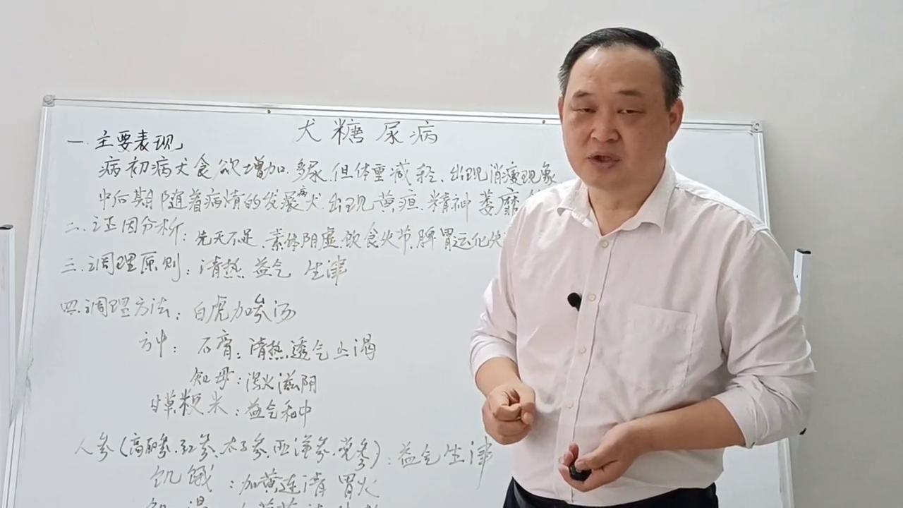 犬病哪里治,犬病的治疗方法