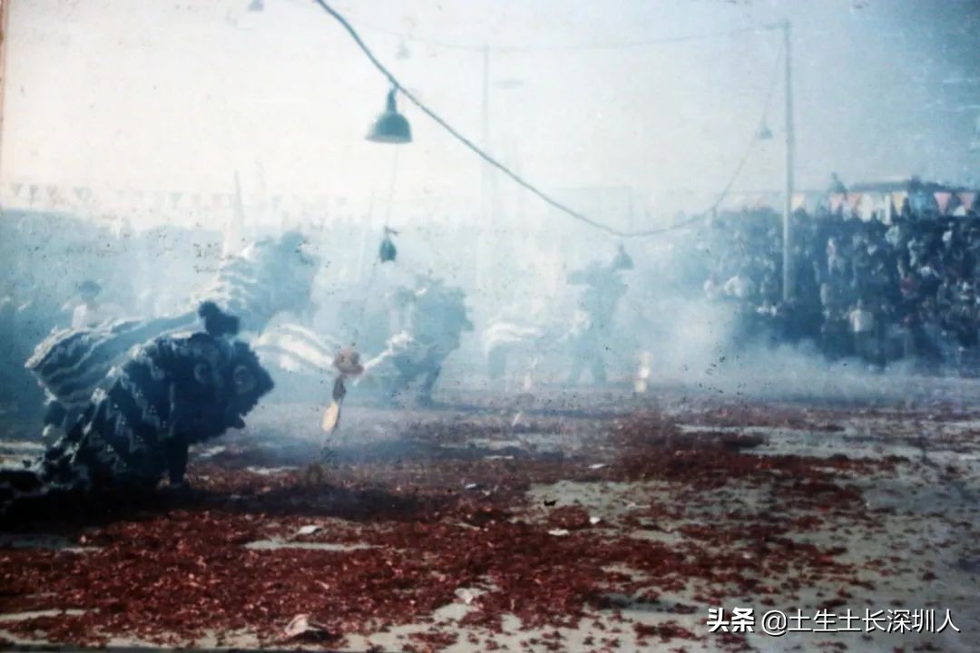 醒狮和瑞狮的区别在哪,醒狮的运动特点