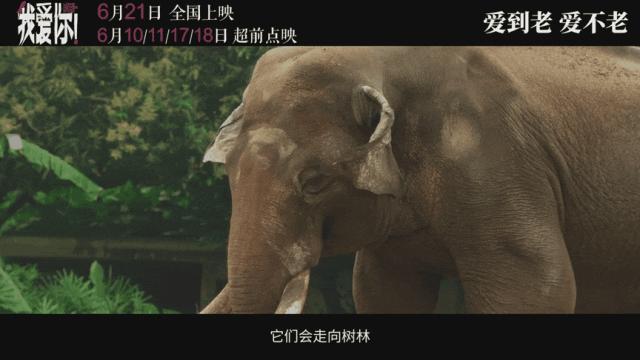 2023年最火热的爱情片,2023新爱情片