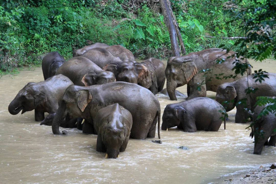 昆明七彩云南怎么样,七彩云南避暑家园