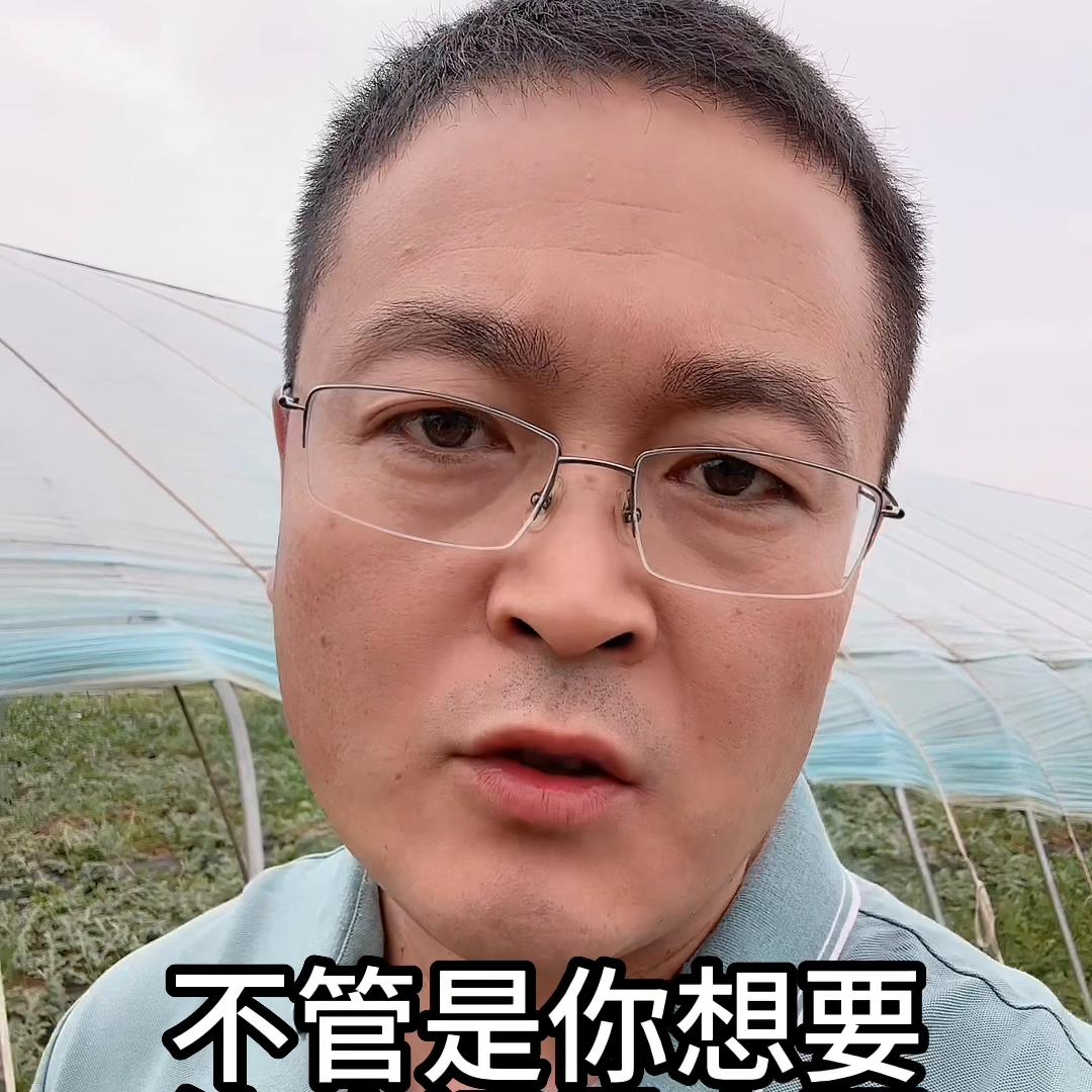 防治根腐病的最新方法,防治根腐病的有效方法