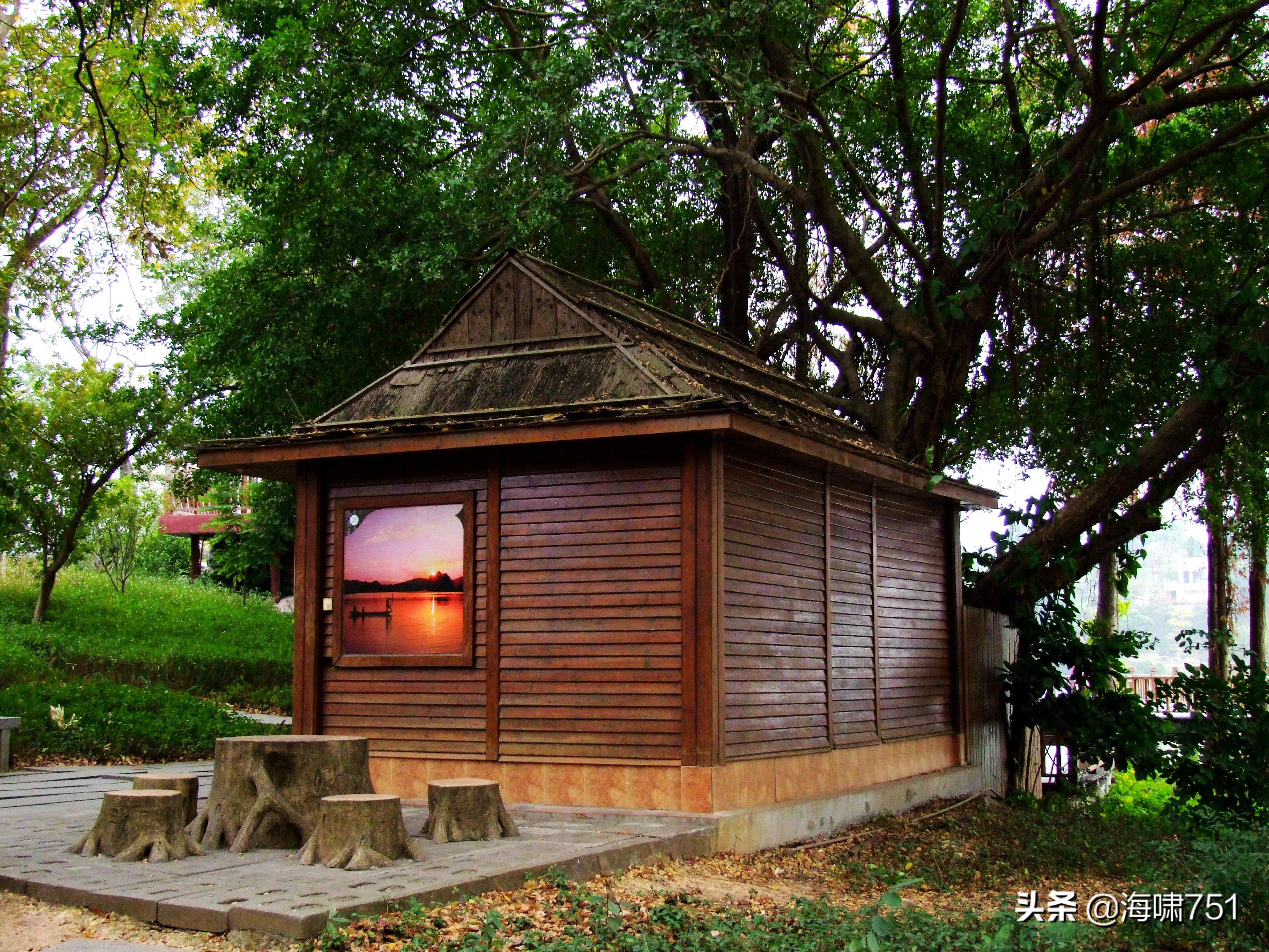 肇庆星湖湿地公园仙女湖,肇庆星湖国家湿地公园图