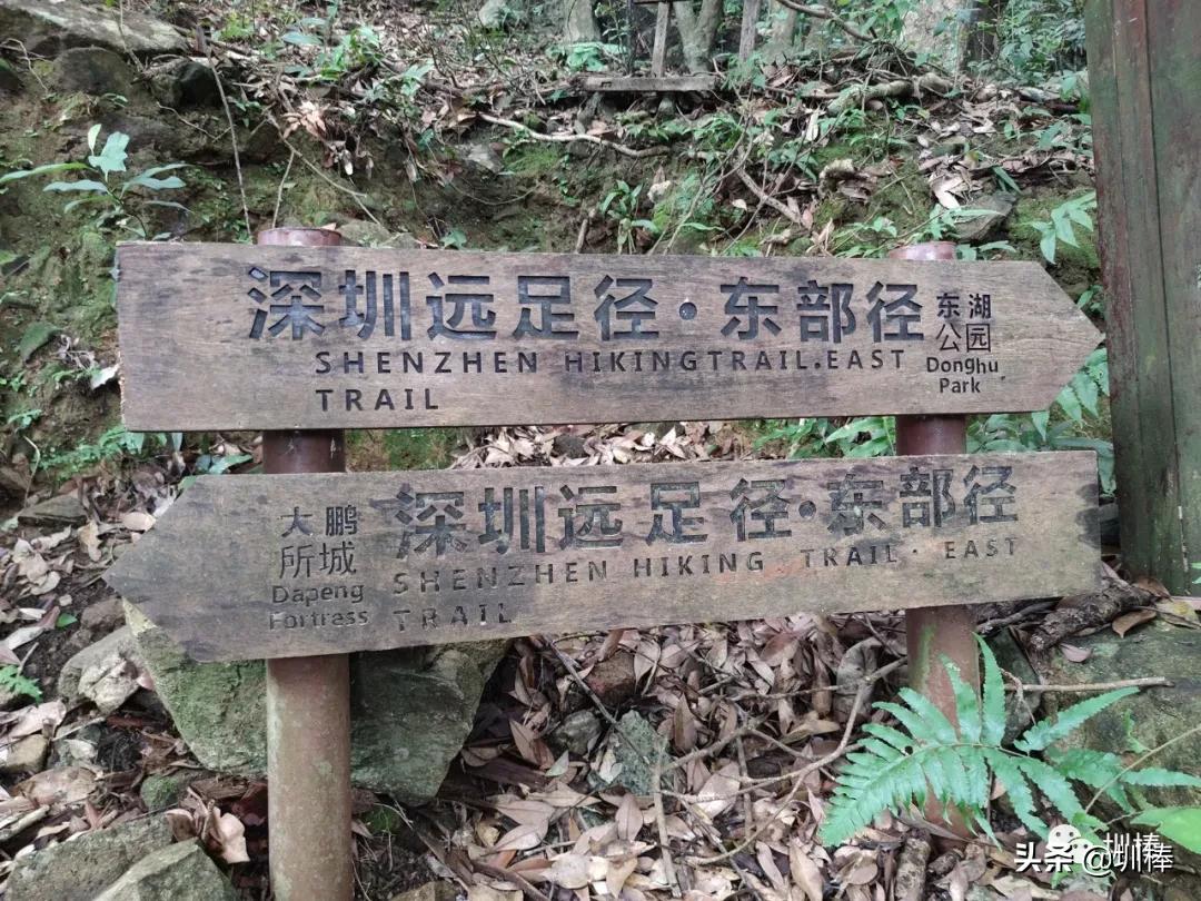 深圳远足径,深圳远足径徒步路线