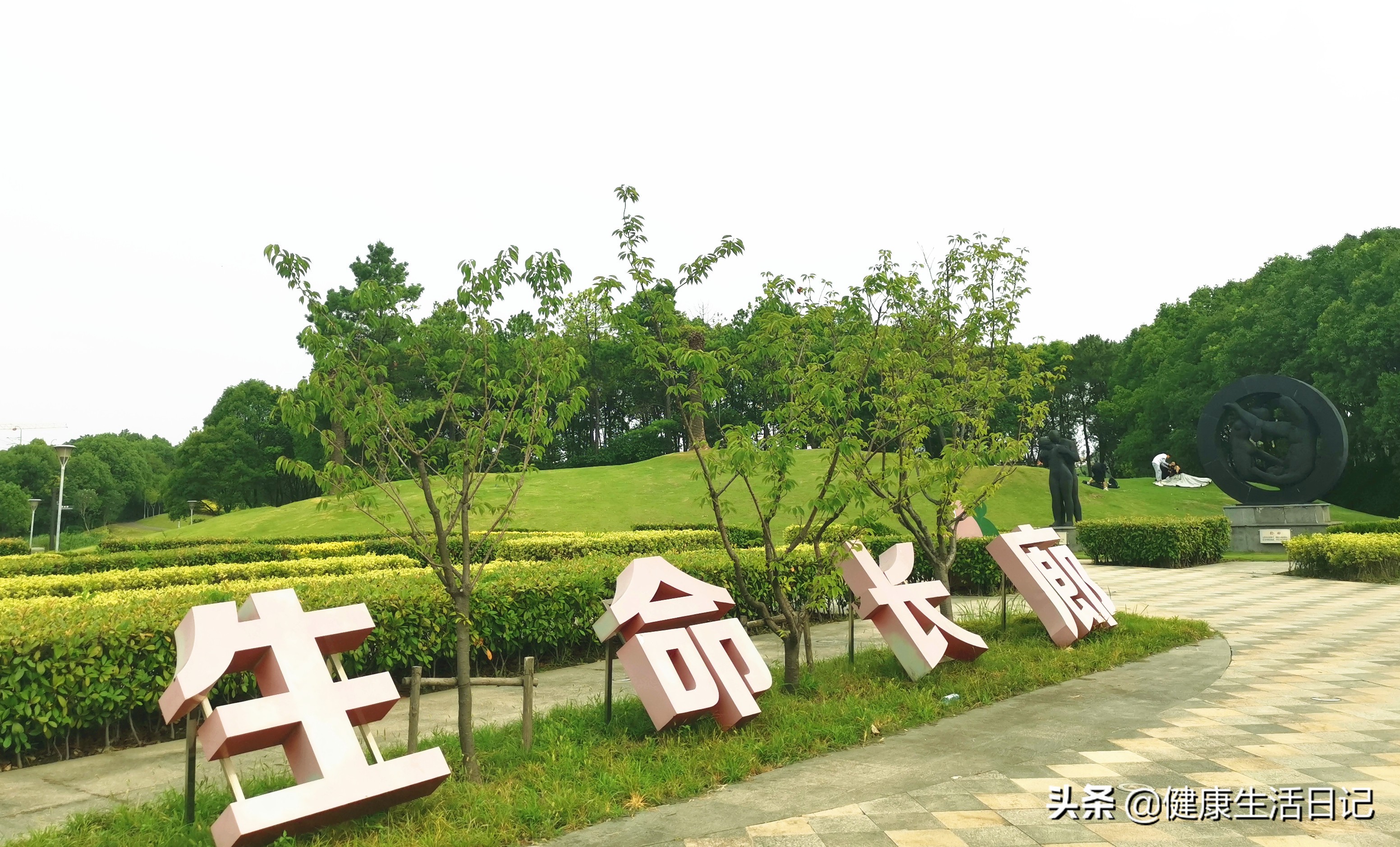 上海美兰湖度假,上海美兰湖好去处