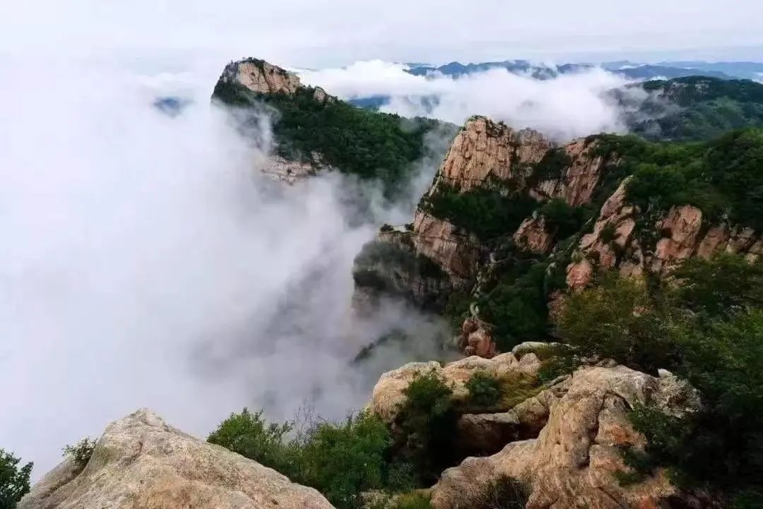 享受阳光享受大自然天然氧吧,值得一去的天然森林氧吧