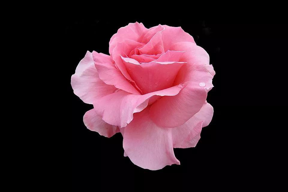 520适合发朋友圈的配图爱情,入目无别人四下皆是你英语