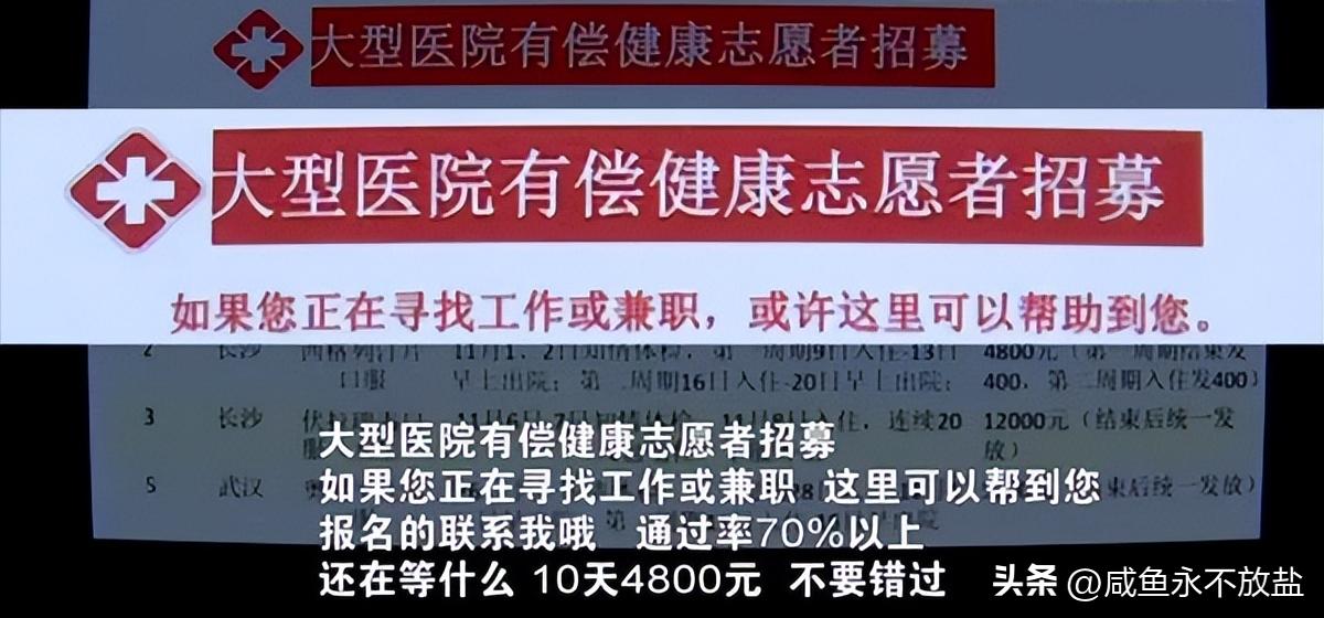 试药员冷门暴利行业,职业试药人7天赚10万
