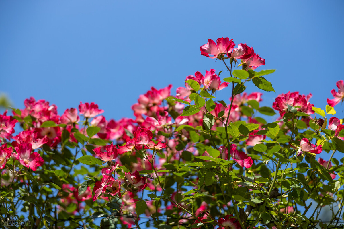 100个让自己变美的习惯,变美的29个习惯