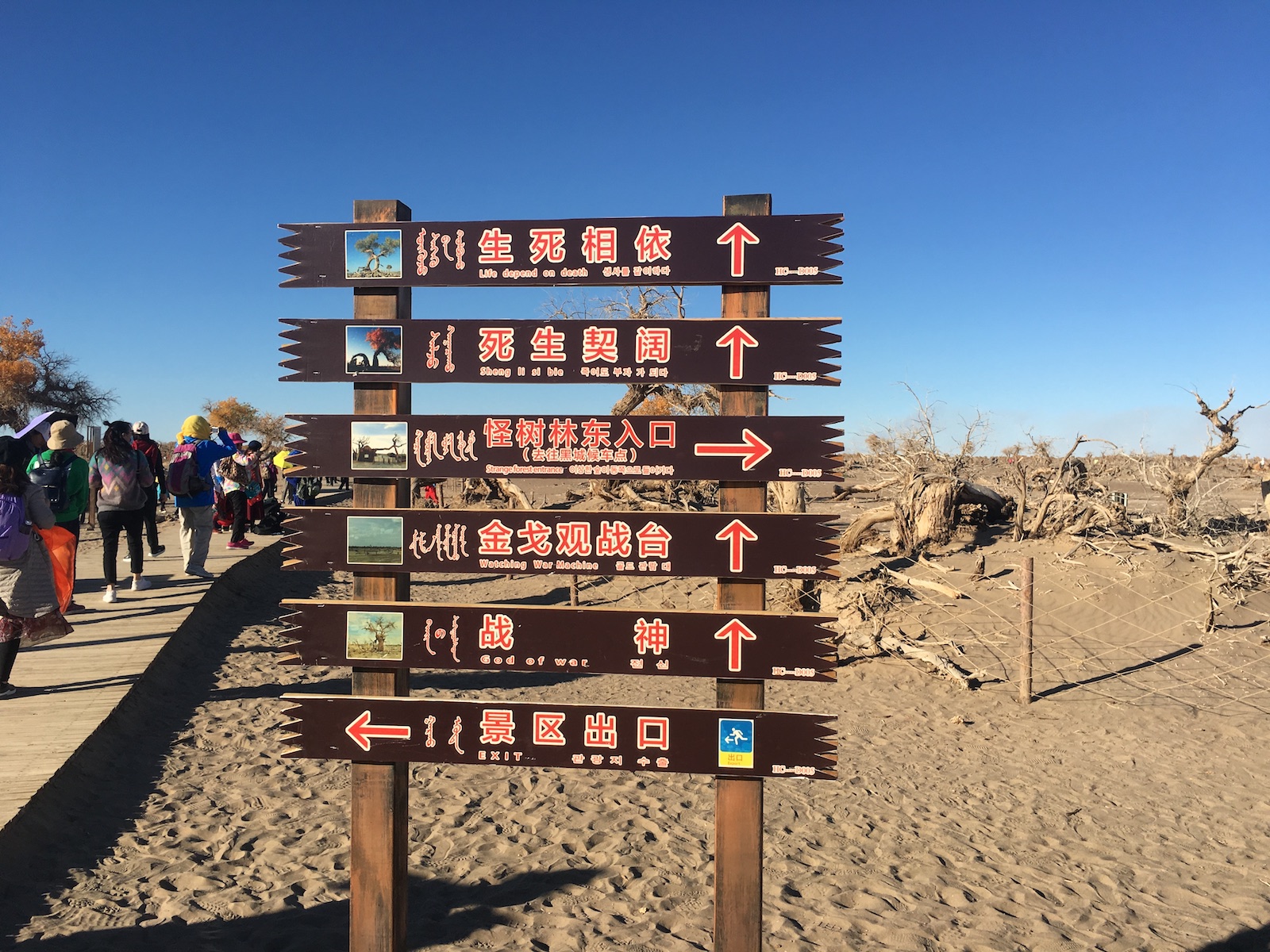 北京自驾额济纳胡杨林十天攻略,从北京到额济纳胡杨林线路