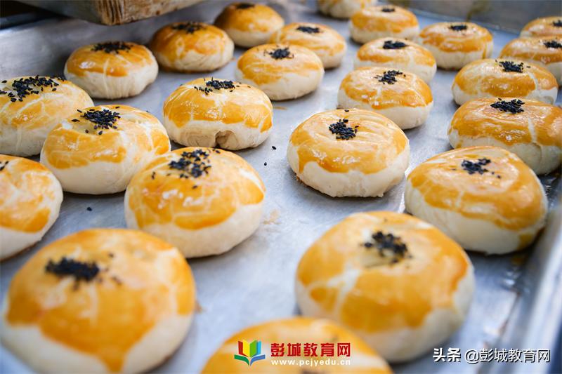 鍚嶅笀浜戦泦,鍚嶅笀鑽熻悆甯堣祫闆勫帤