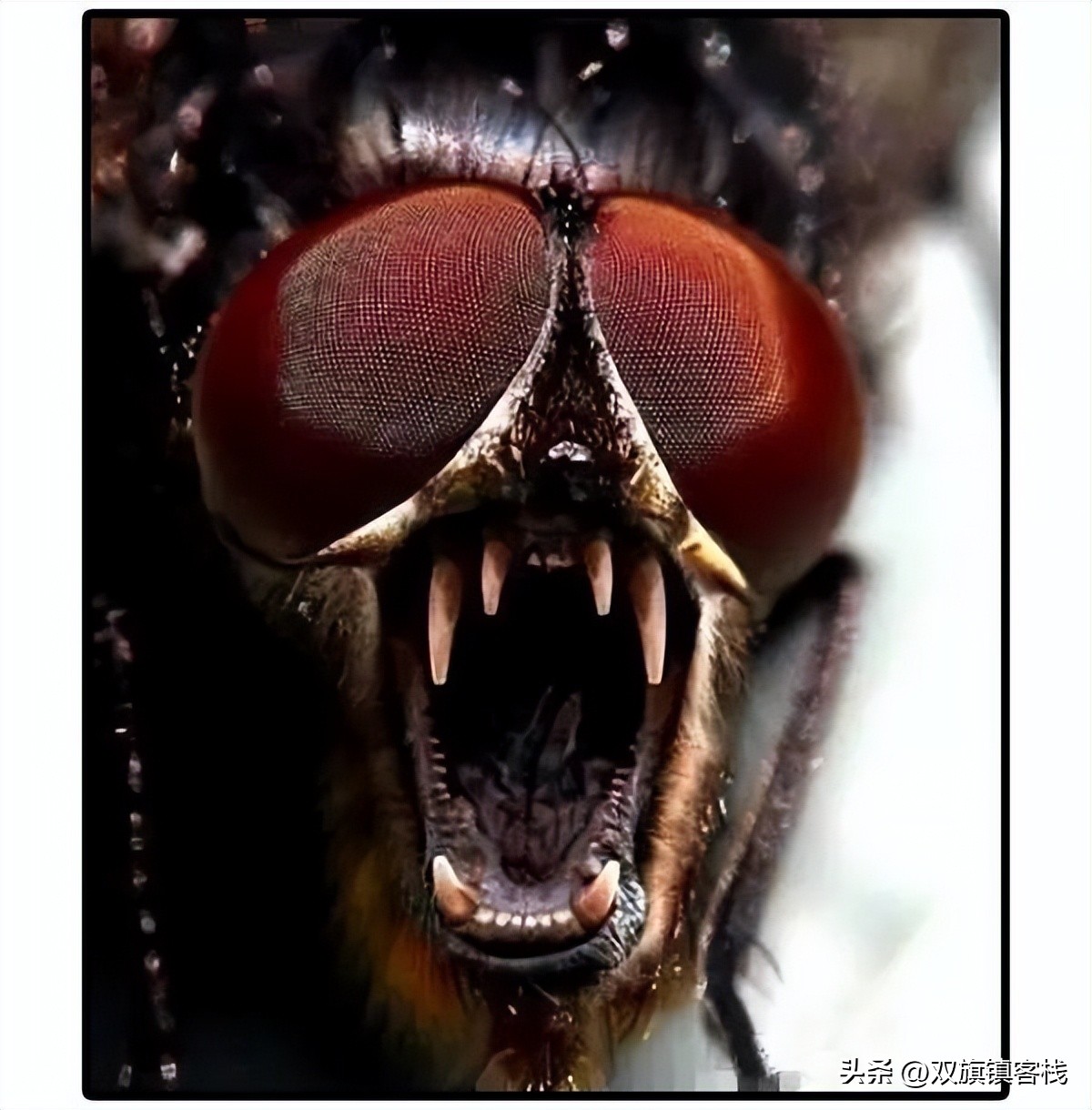 校方回应老师把手机泡水,学校让学生手机泡水