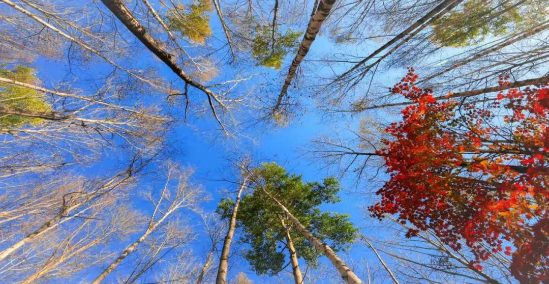 全国三大研学示范营地,三所基地