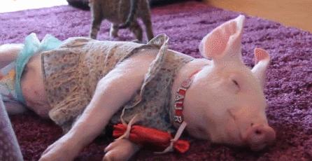 治赖床,早晨赖床的方法